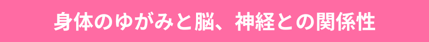 身体のゆがみと脳、神経との関係性